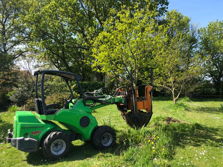 Air spading and tree moving 