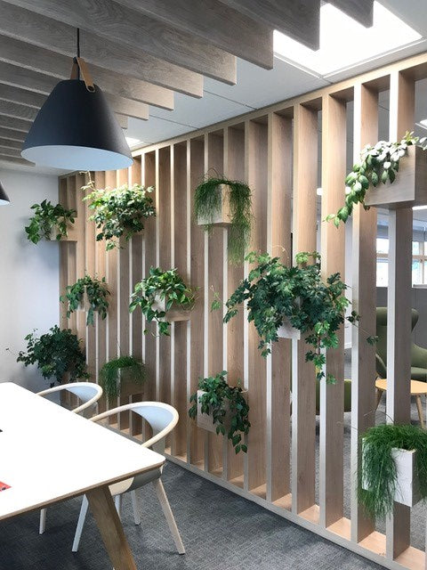 Interior office plants