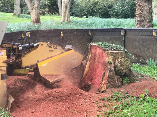 Stump grinding 