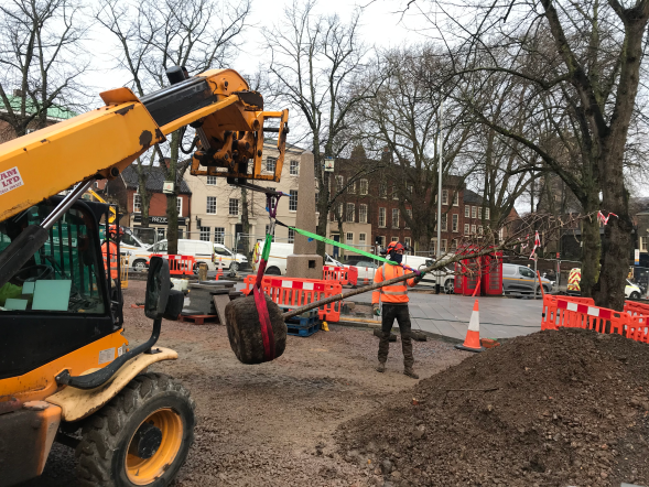 Urban tree planting 